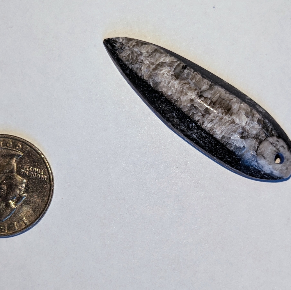 Orthoceras Fossil Necklace Pendants - Handmade (Multiples)